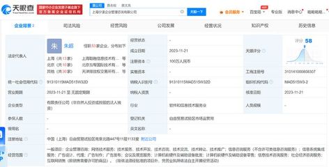 螞蟻集團在上海成立企管咨詢公司，拓展軟硬件批發業務